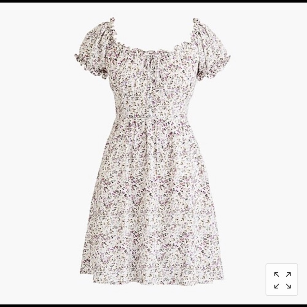 J Crew Mini Dress